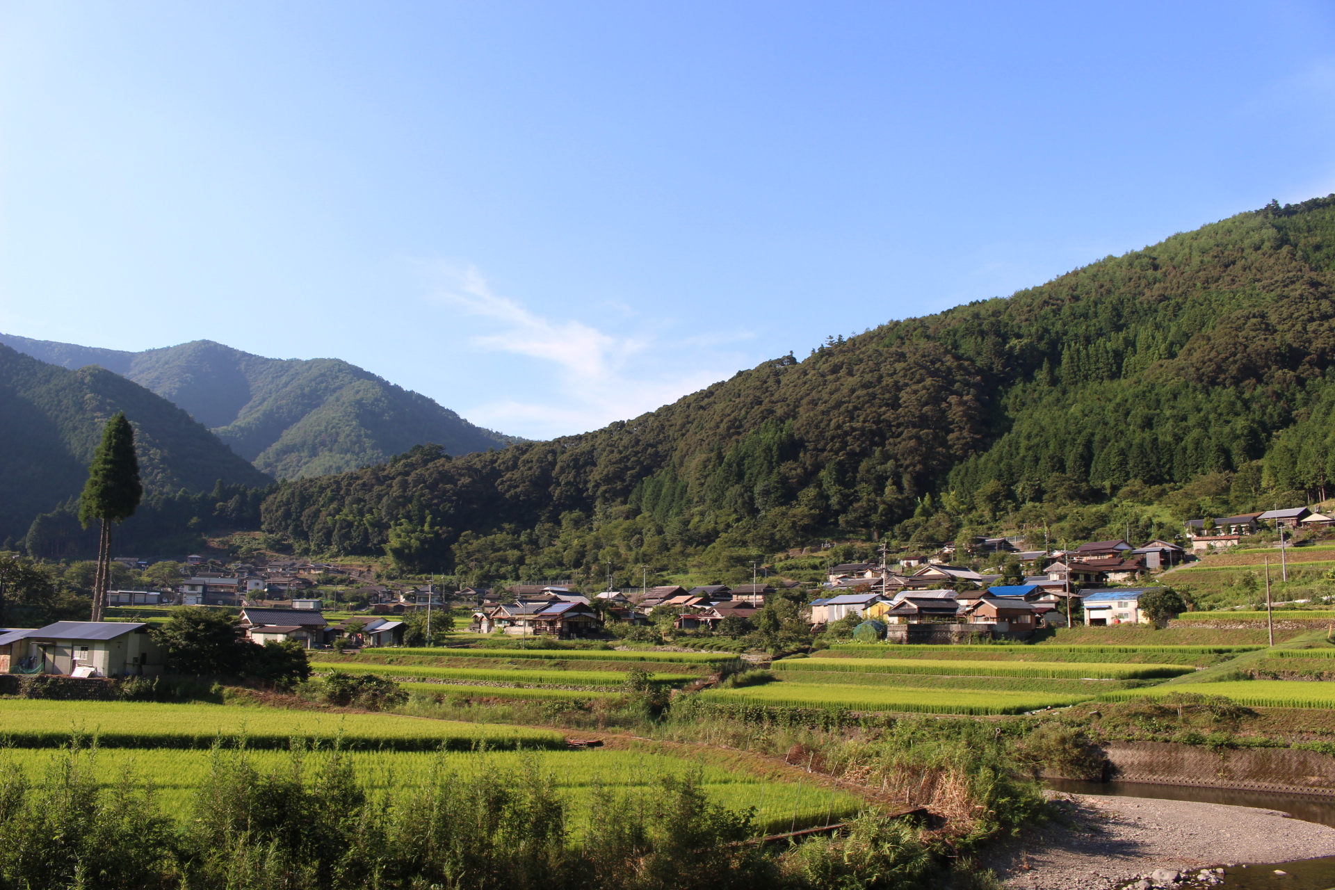 【協力隊を巡る旅】四万十町に恋をして〜僕、お試し移住します