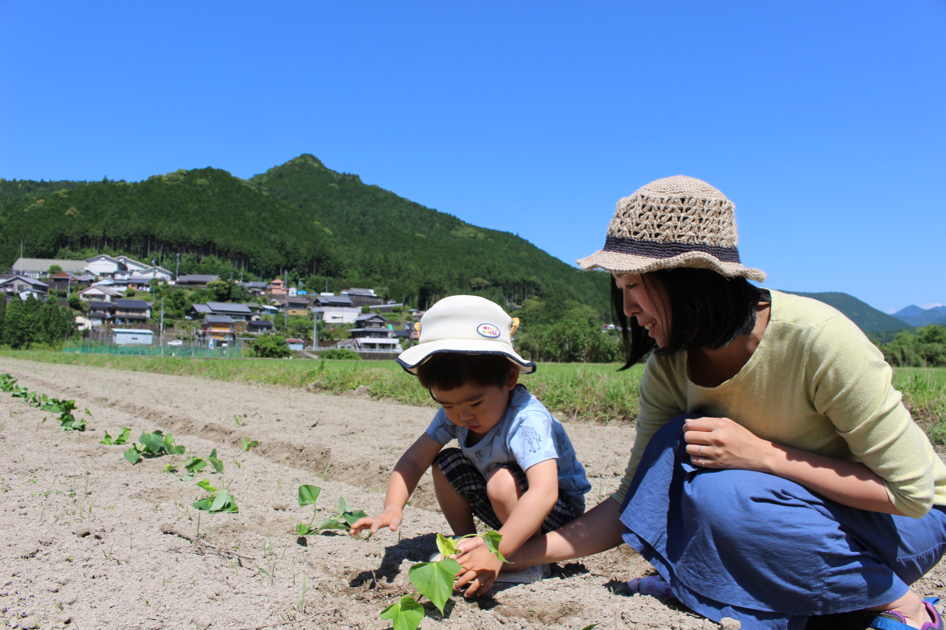 現役隊員が奇跡の制度「地域おこし協力隊」の奇跡っぷりについて説明します。