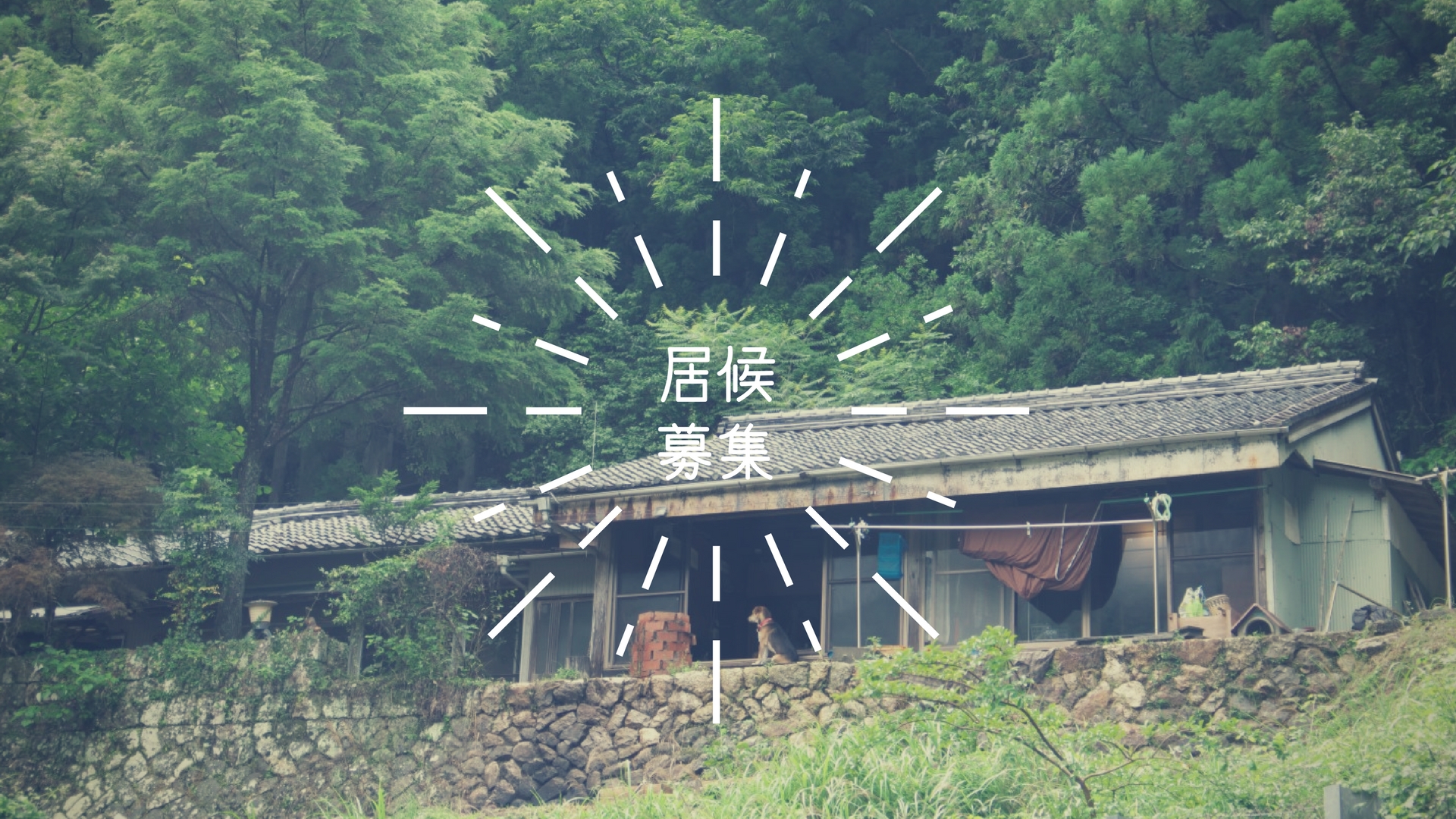 ４月以降の居候募集について〜シェアハウス始めるよ！