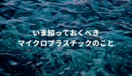 ９割の塩、７割の魚介に含まれるマイクロプラスチック。人体への影響など、いま知っておきたいことをまとめたよ。