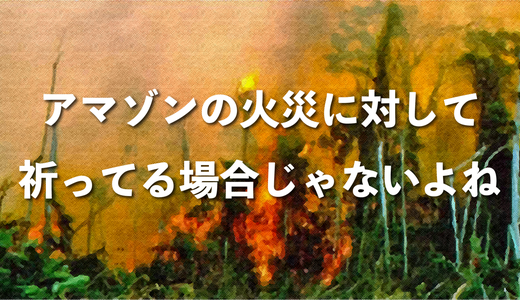アマゾン火災に対して「祈ってる場合かよ！」