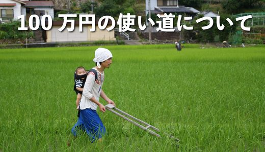 100万円の使い道について
