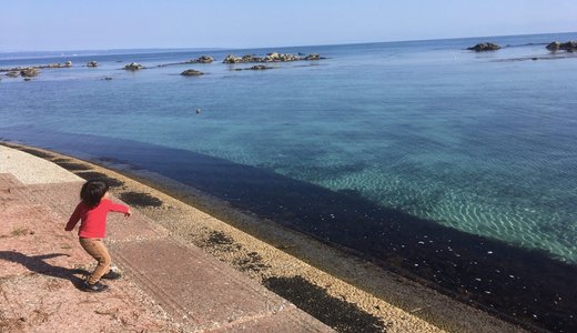 週に２,３回は「能登島に住んでよかった」と思える瞬間がある